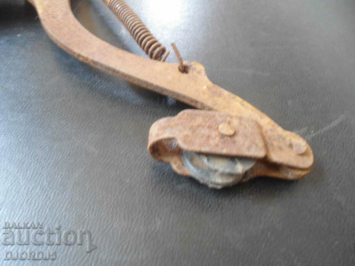 Old pruning shears. - 6