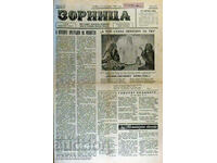 Newspaper: ZORNITSA