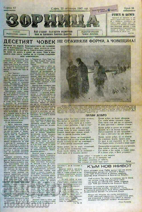 Newspaper: ZORNITSA