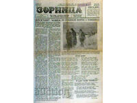 Newspaper: ZORNITSA