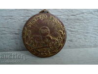 медал Балканската война - Осветено Косово 1912г