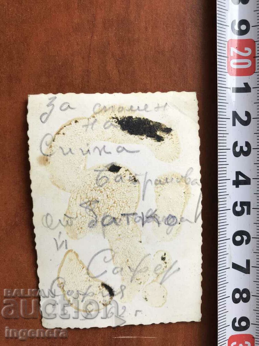 СНИМКА СТАРА ФОТОГРАФИЯ с цена € 2.05 | 4.01 лв.