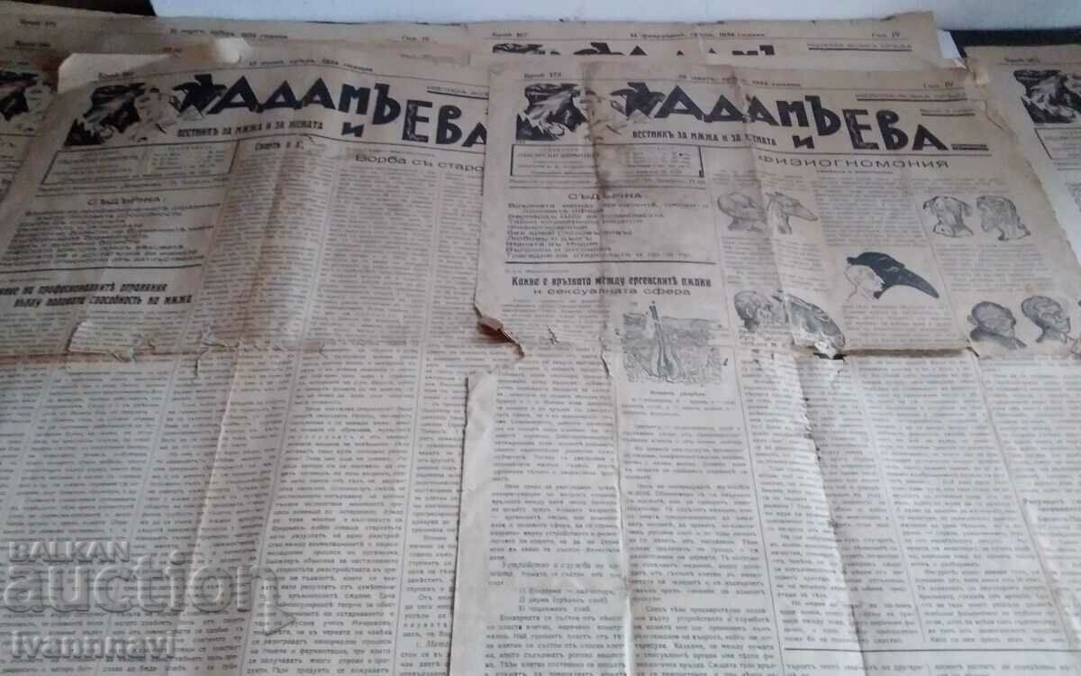 Adam and Eva - rare newspaper 1934. Total 29 issues. - 7 Adam and Eva - rare newspaper 1934. Total 29 issues. - 7