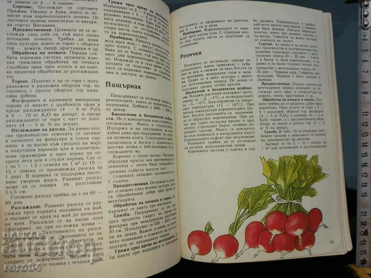 PRIVATE BUSINESS ADVICE - 6