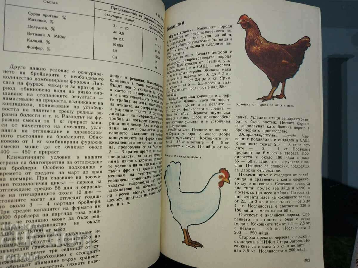 PRIVATE BUSINESS ADVICE - 7