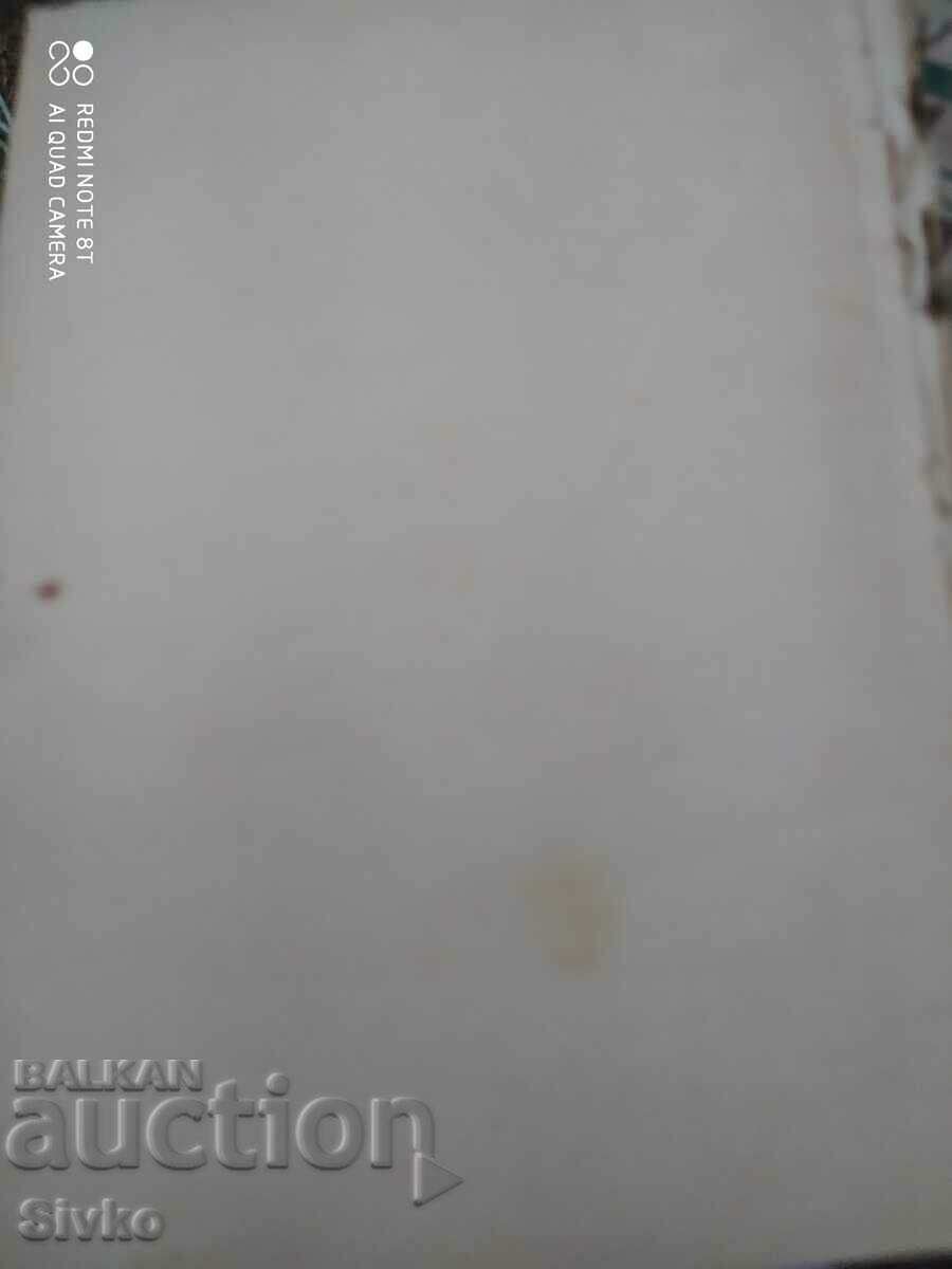 Delivery of The Young Slaves, Captain Mine-Reed, pre-1945 Delivery of The Young Slaves, Captain Mine-Reed, pre-1945