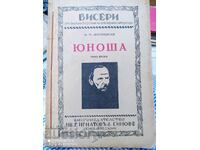 Youth, F. M. Dostoevsky, μετάφραση από τα ρωσικά Racho Stoyanov, pr