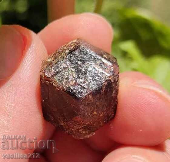 Κόκκινος γρανάτης με τιμή 9.00 BGN | € 4.60 Κόκκινος γρανάτης με τιμή 9.00 BGN | € 4.60