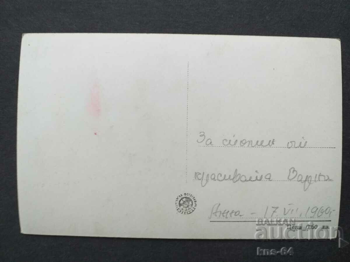 Varna cu preț € 0.61 | 1.19 BGN