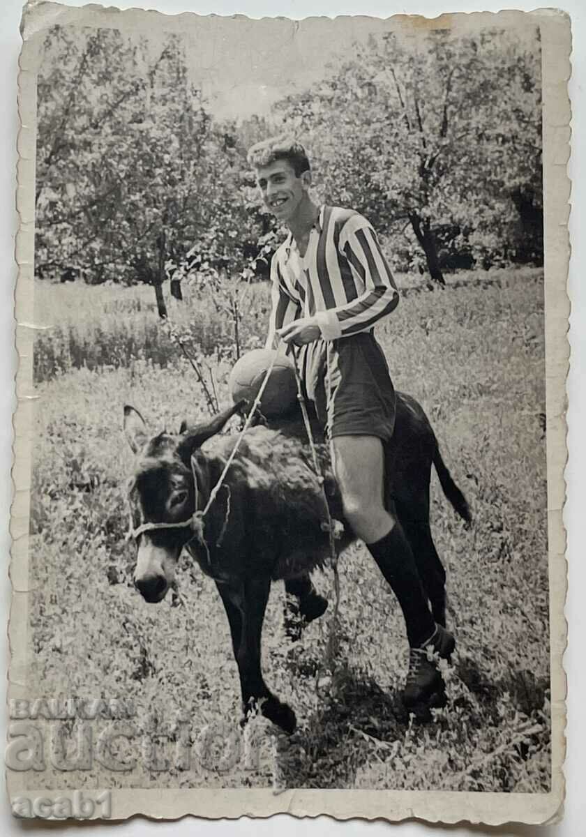 Football player on a donkey