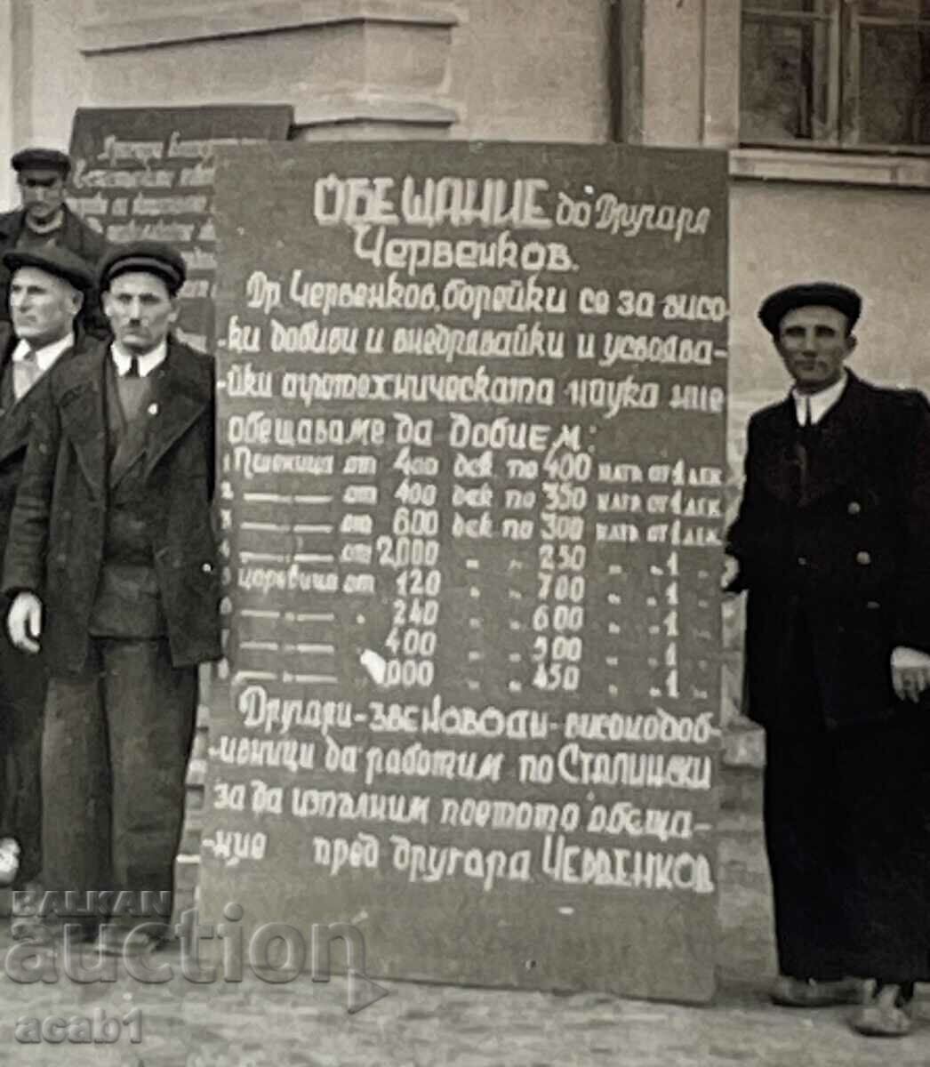 Υπόσχεση στον γιατρό Τσερβένκοφ με τιμή 7.99 BGN | € 4.09 Υπόσχεση στον γιατρό Τσερβένκοφ με τιμή 7.99 BGN | € 4.09