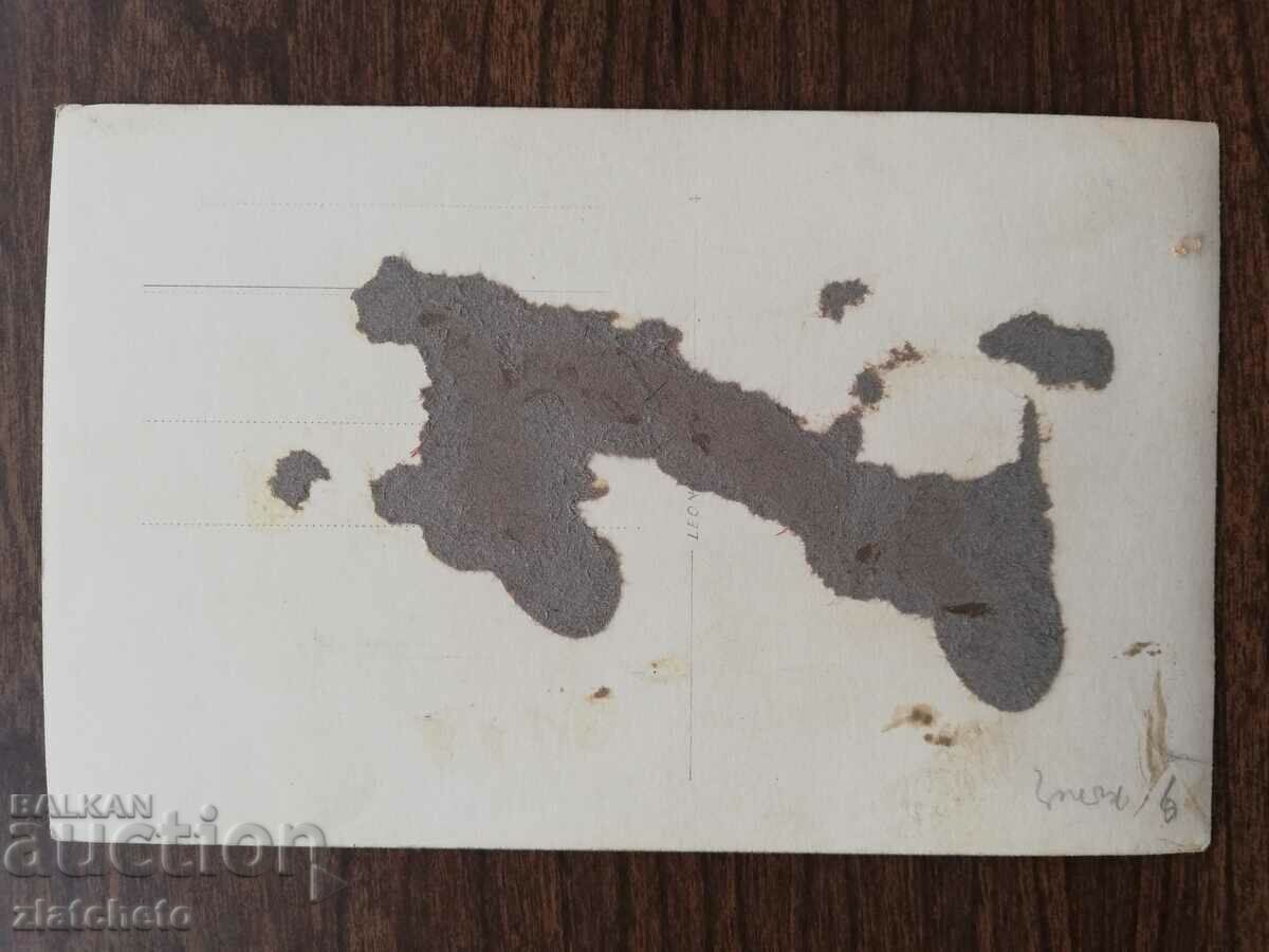 Auction Old photo Kingdom of Bulgaria - Auction Old photo Kingdom of Bulgaria -