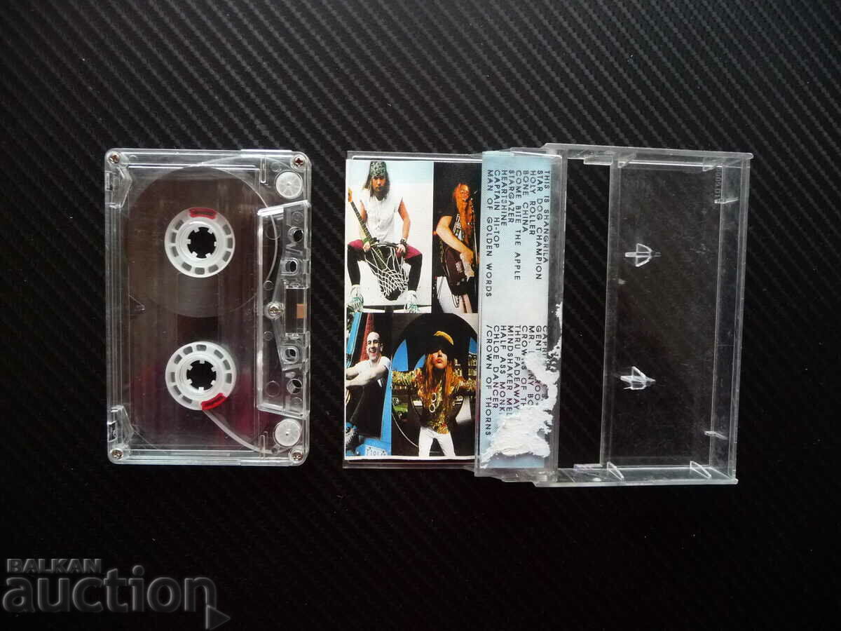 Mother Love Bone Satyricon grunge rock music energy cassette with price 12.00 BGN | € 6.14 Mother Love Bone Satyricon grunge rock music energy cassette with price 12.00 BGN | € 6.14