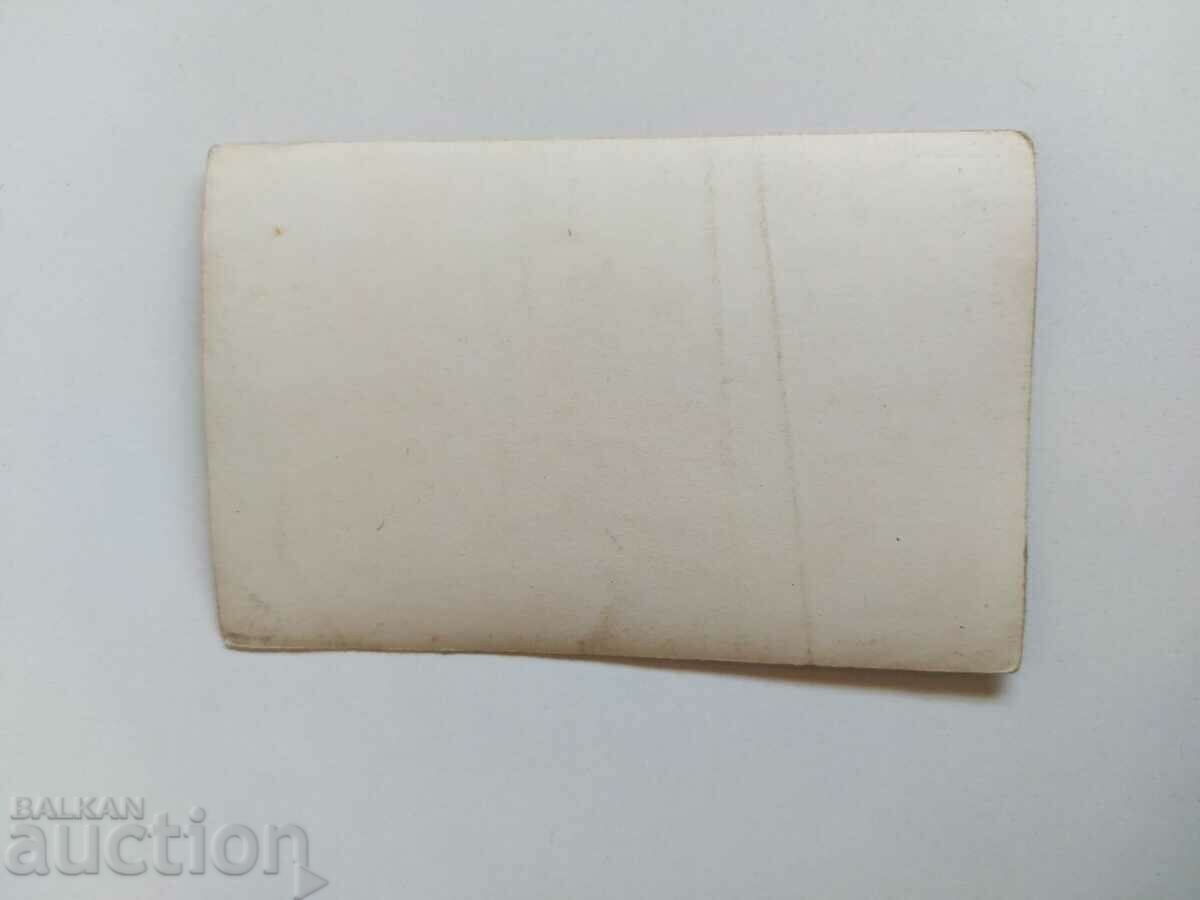 Auction 1944 THEODOSIEVO COOPERATION HEALTHY FOOD PHOTOGRAPHY Auction 1944 THEODOSIEVO COOPERATION HEALTHY FOOD PHOTOGRAPHY