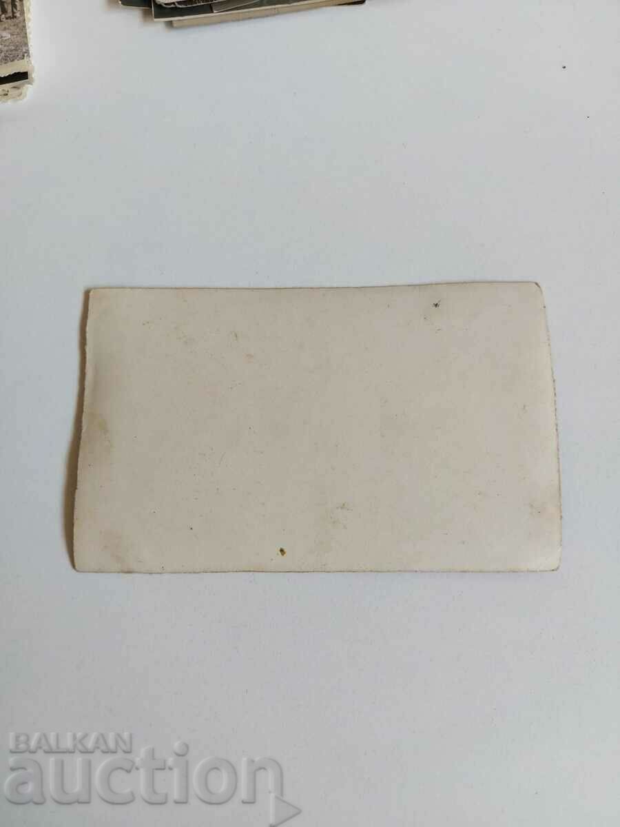 Auction 1944 THEODOSIEVO COOPERATION HEALTHY FOOD PHOTOGRAPHY Auction 1944 THEODOSIEVO COOPERATION HEALTHY FOOD PHOTOGRAPHY