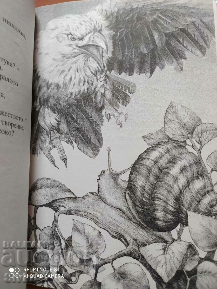 Fables, Stoyan Mihailovski, many illustrations - 6