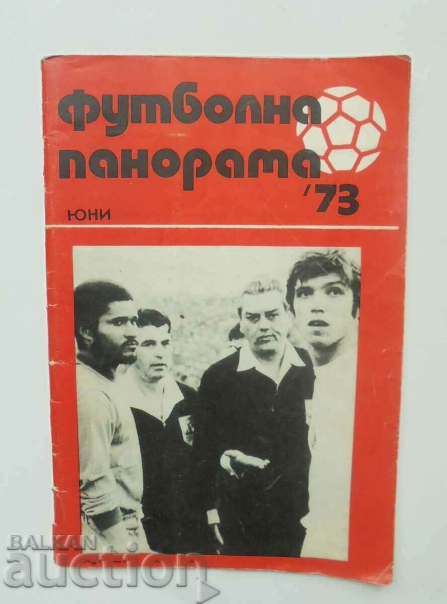 Football panorama. No. 6 / 1973