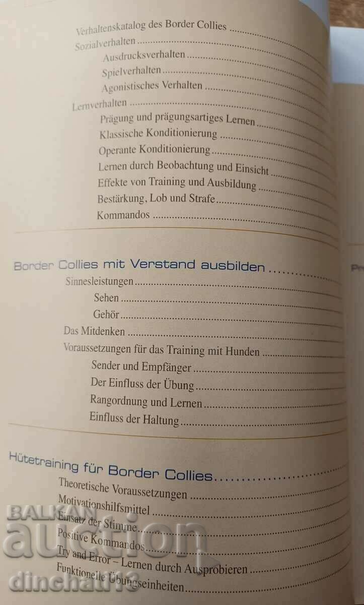 Licitație Border Collies: Hunde auf der Grenze zwischen Genie und Wahn