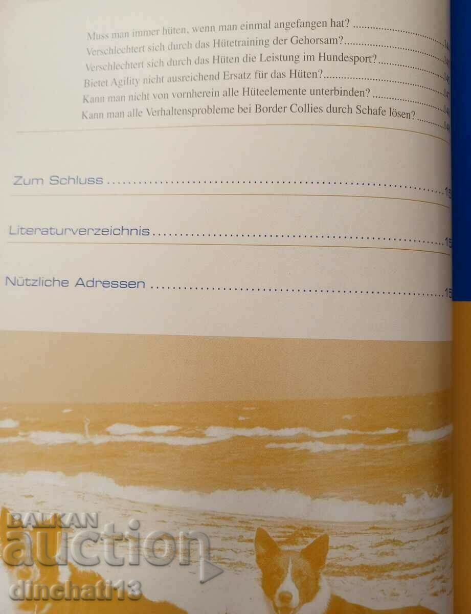 Border Collies: Hunde auf der Grenze zwischen Genie und Wahn - 5