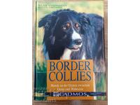 Border Collies: Hunde auf der Grenze zwischen Genie und Wahn