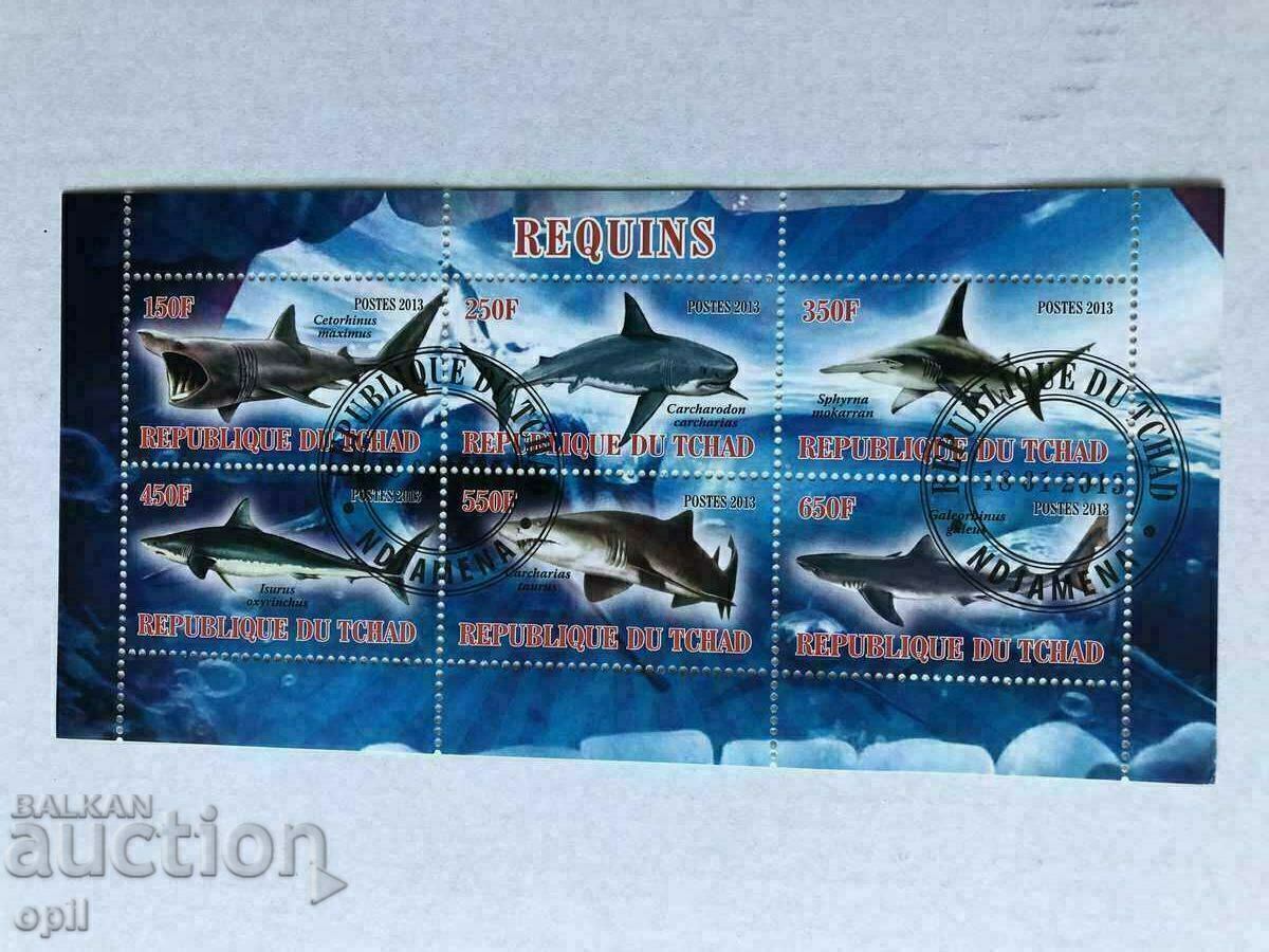 Stamped Block Sharks 2013 Τσαντ