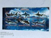 Stamped Block Sharks 2013 Chad