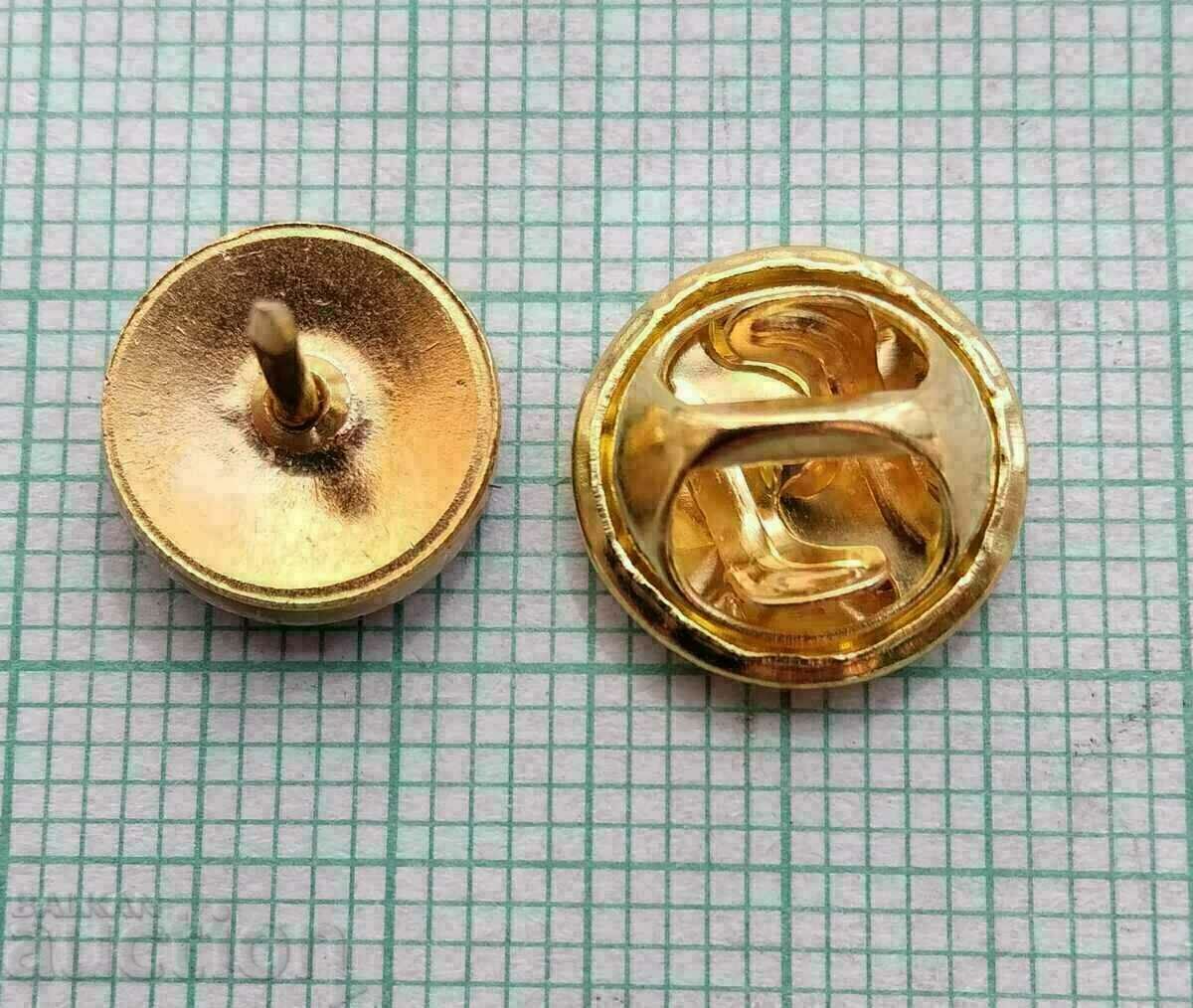 Auction  13270 Badge - flag flag Armenia