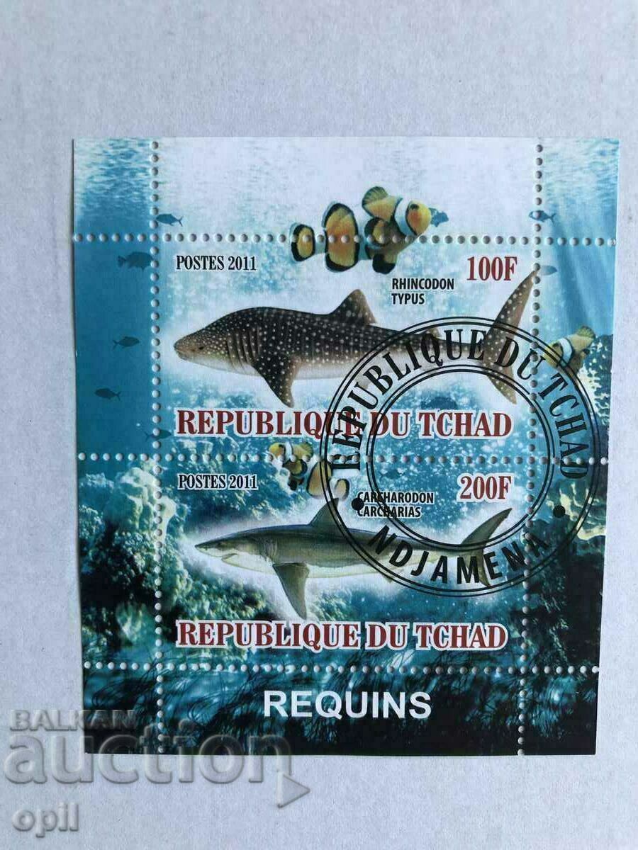 Stamped Block Sharks 2011 Chad