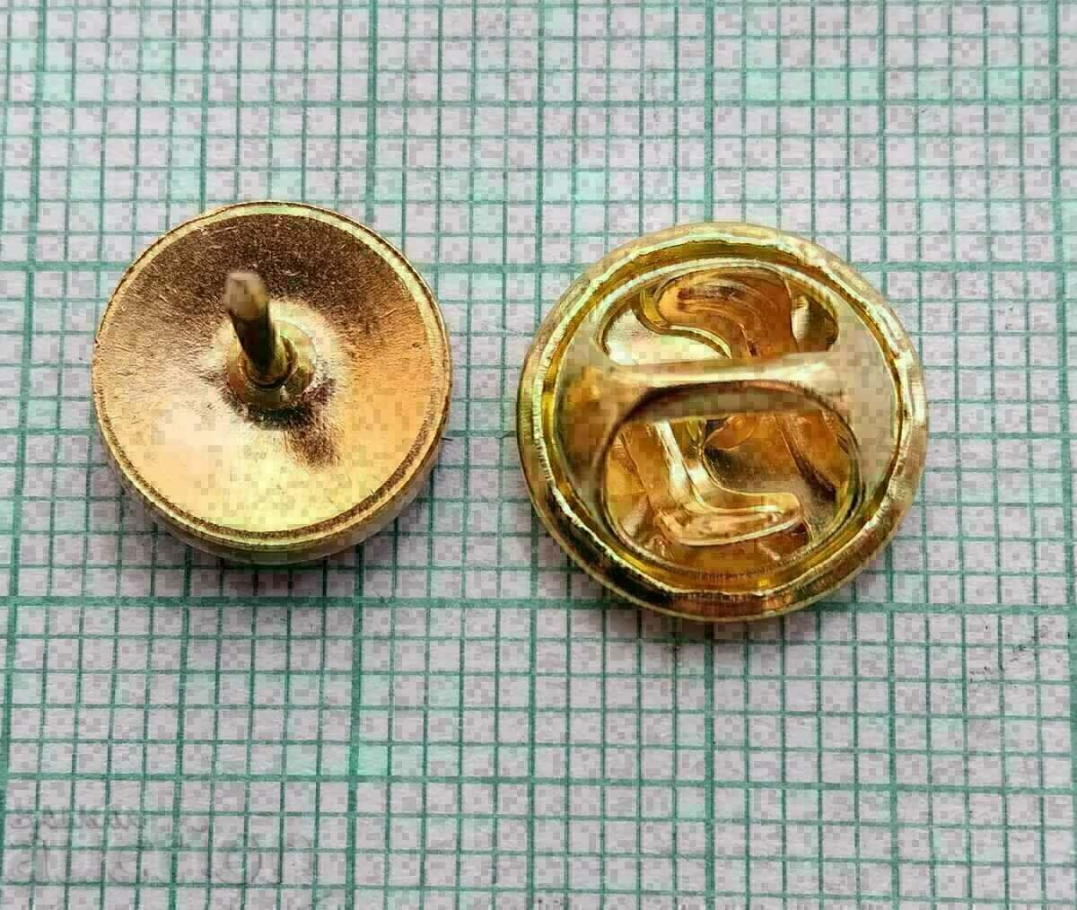 Auction 13283 Badge - flag flag Italy Auction 13283 Badge - flag flag Italy