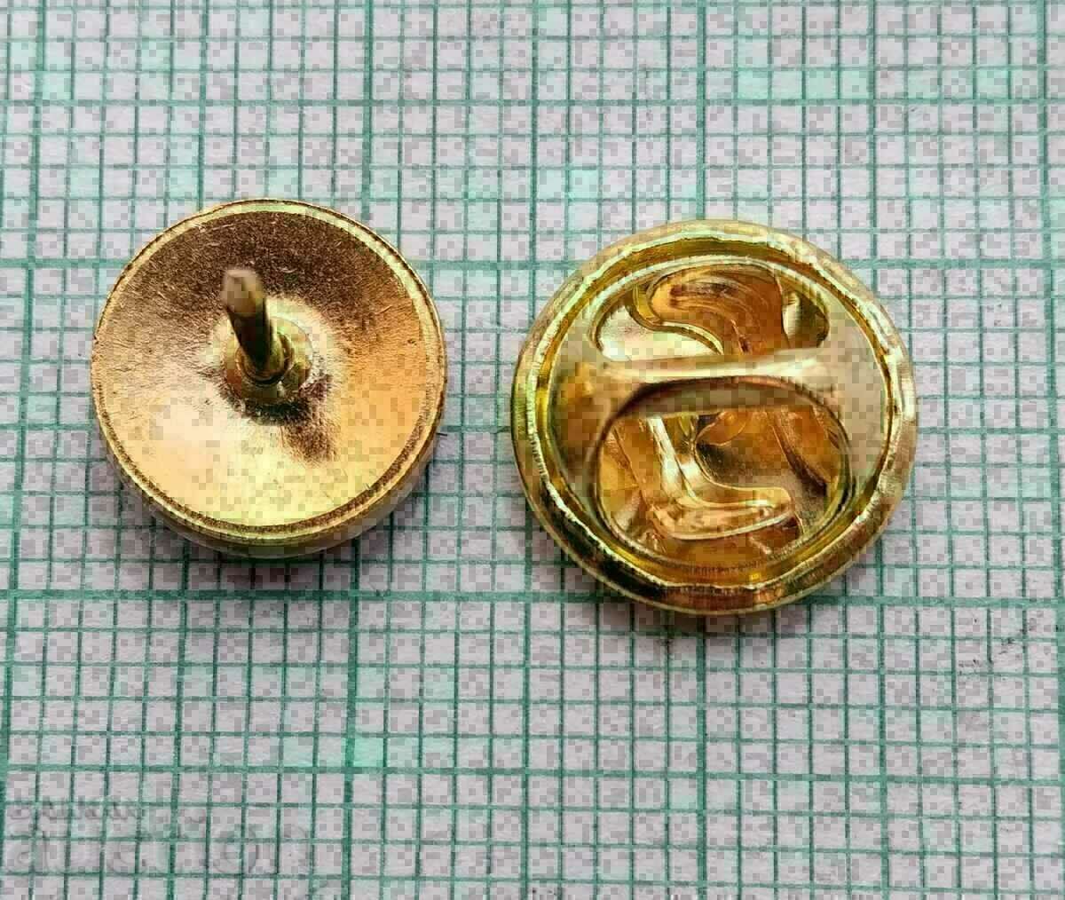 Auction 13289 Badge - flag Oman flag Auction 13289 Badge - flag Oman flag