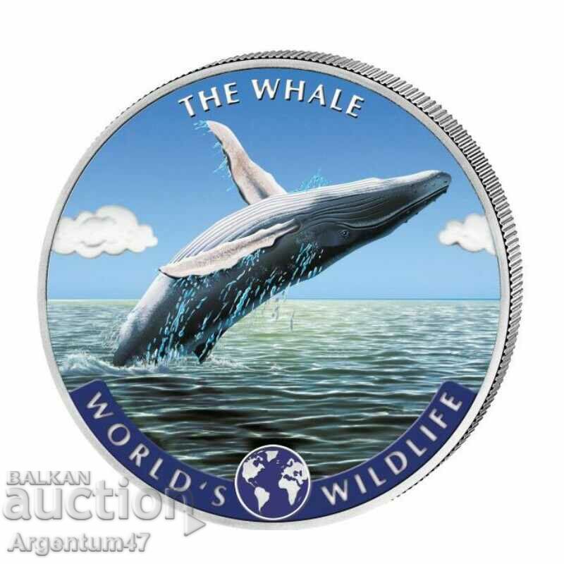 ΑΣΗΜΕΝΙΟ 1 ΟΖ 2020 ΚΟΝΓΚΟ - ΧΡΩΜΑΤΙΣΜΕΝΗ Φάλαινα