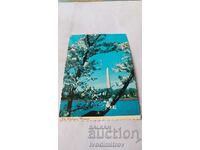 Postcard Washington D.C. The Washington Monument