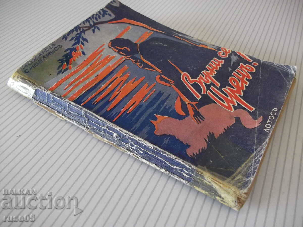 Book "Varnice, Irene - Johanna Sibelius" - 168 pages. - 7 Book "Varnice, Irene - Johanna Sibelius" - 168 pages. - 7