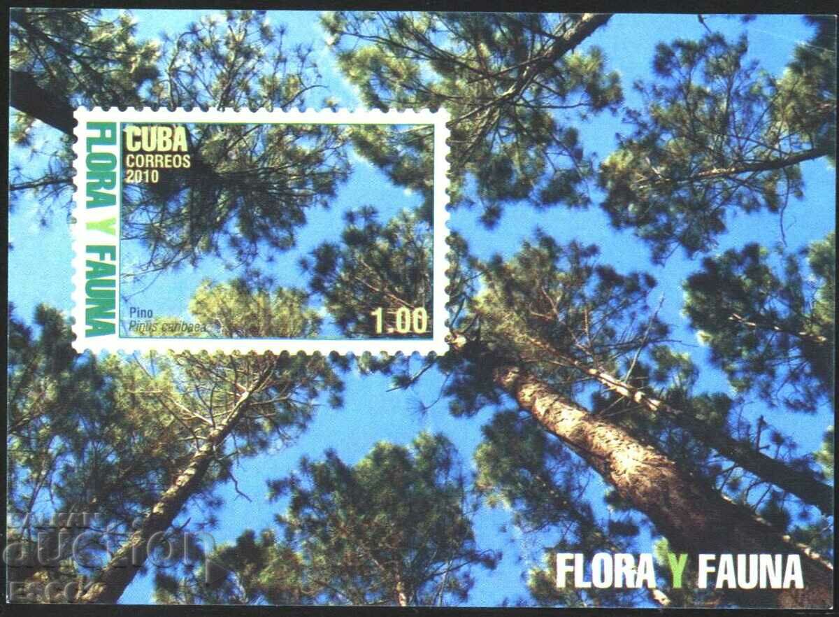 Clean Block Flora and Fauna Trees 2010 Cuba