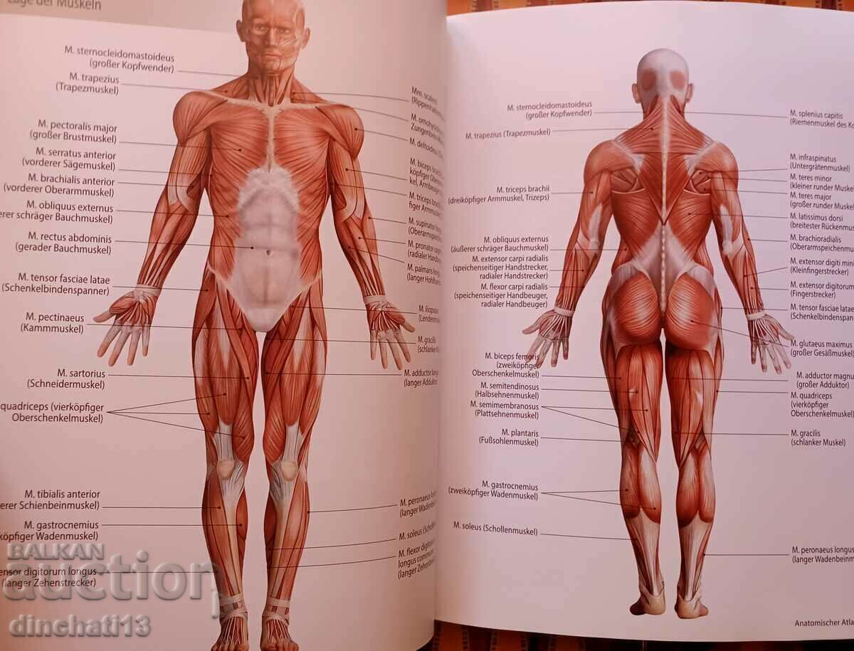 Delivery of Anatomie & Stretching (Anatomy & Sport): Muscles in Action Delivery of Anatomie & Stretching (Anatomy & Sport): Muscles in Action