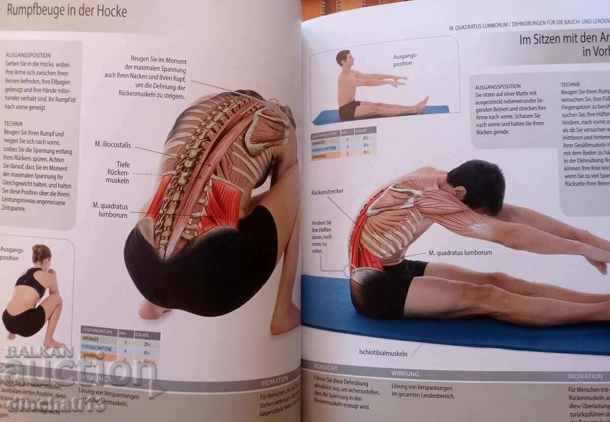 Anatomie & Stretching (Anatomy & Sport): Muscles in Action - 5 Anatomie & Stretching (Anatomy & Sport): Muscles in Action - 5