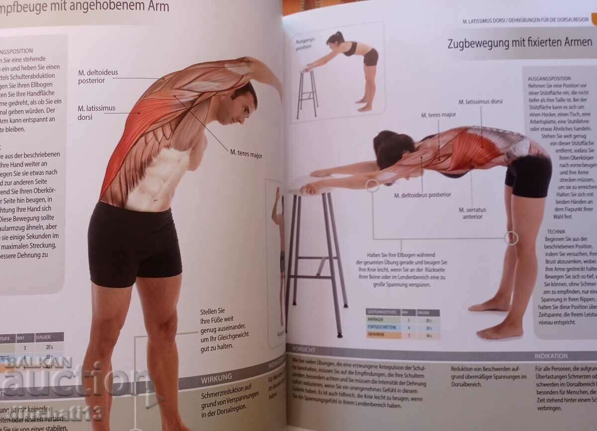 Anatomie & Stretching (Anatomy & Sport): Muscles in Action - 7 Anatomie & Stretching (Anatomy & Sport): Muscles in Action - 7