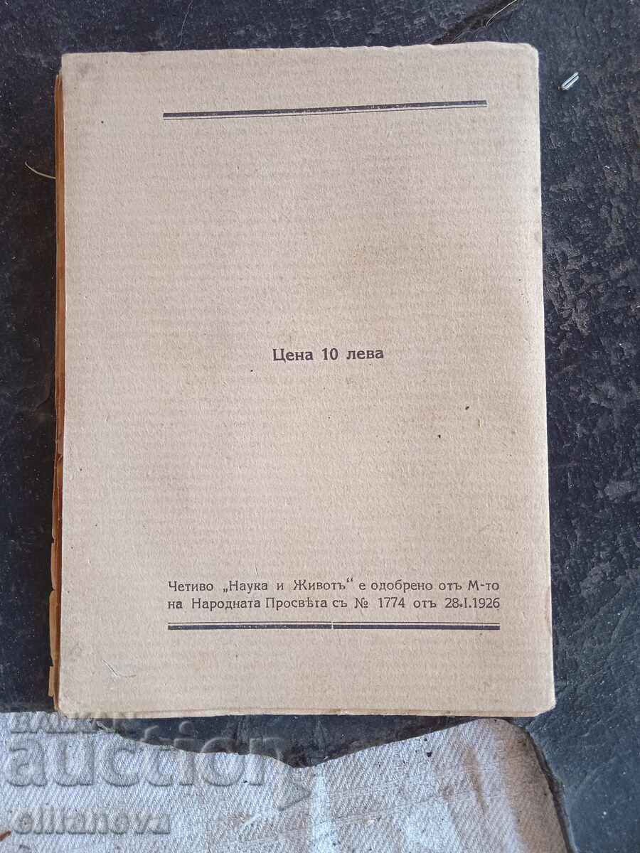 Auction  Pleasure and pain 1926