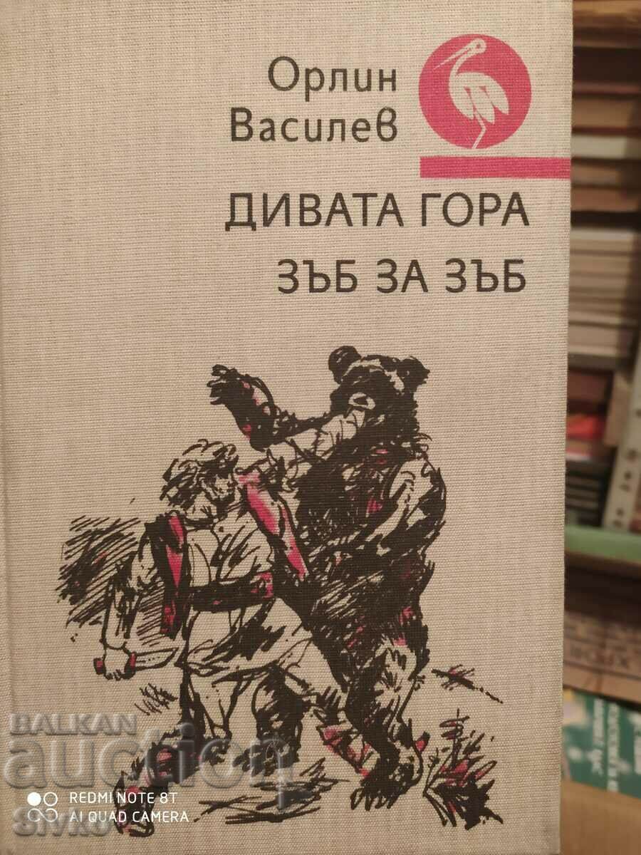 Pădurea sălbatică, dinte pentru dinte, Orlin Vassilev, ilustrații