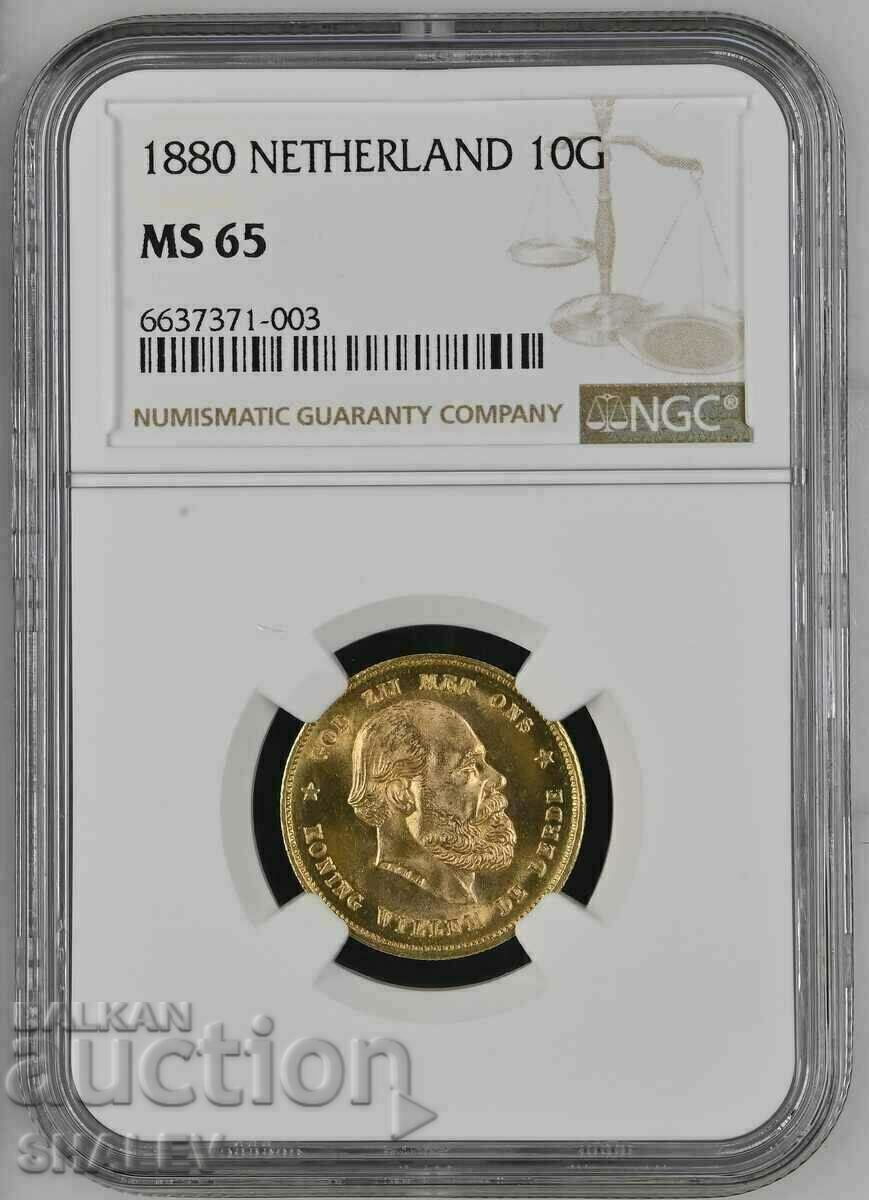 10 Gulden 1880 Netherlands (Нидерландия) - MS65 NGC (злато)