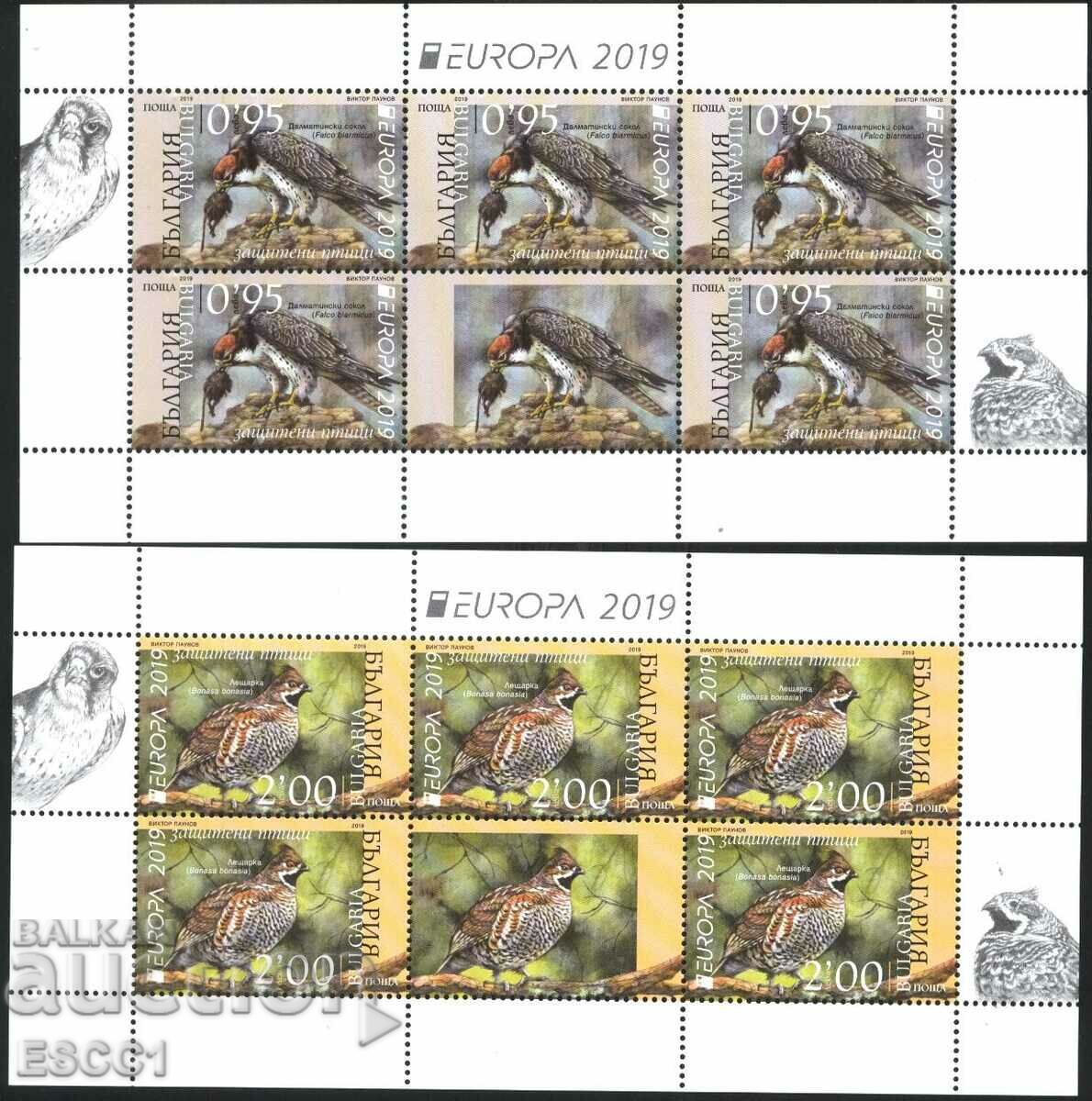 Καθαρά γραμματόσημα σε μικρά σεντόνια Europe SEP Birds 2019 Bulgaria