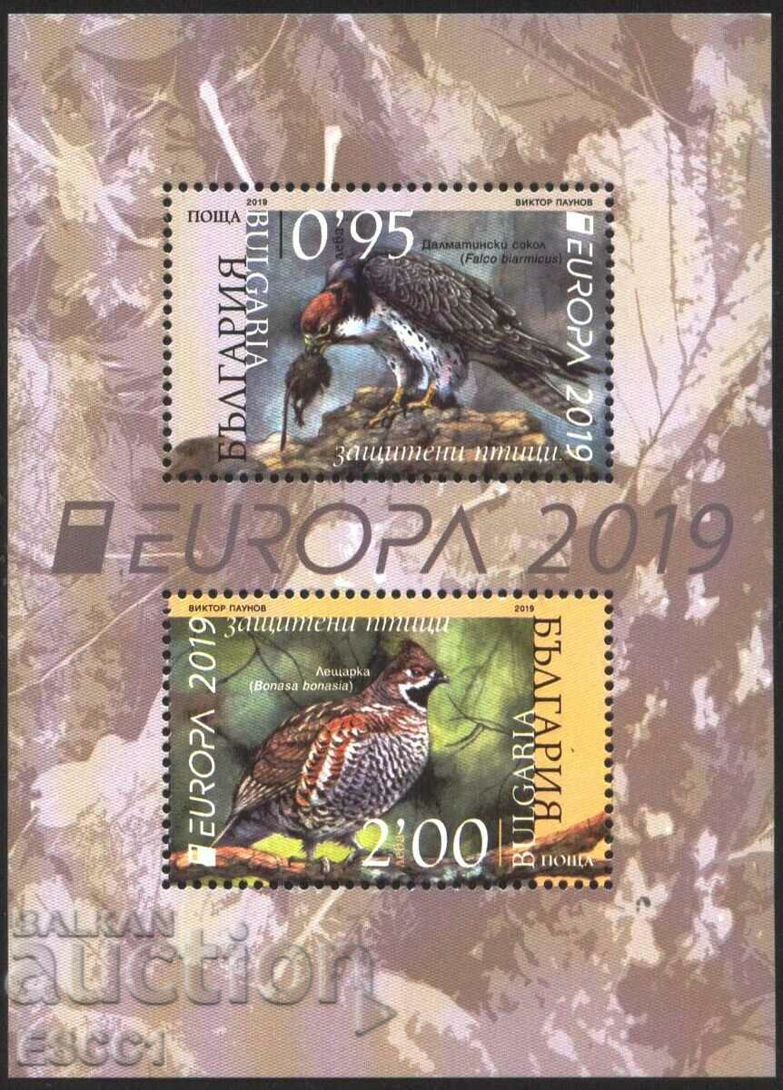 Clean block Europe SEPT Birds 2019 from Bulgaria