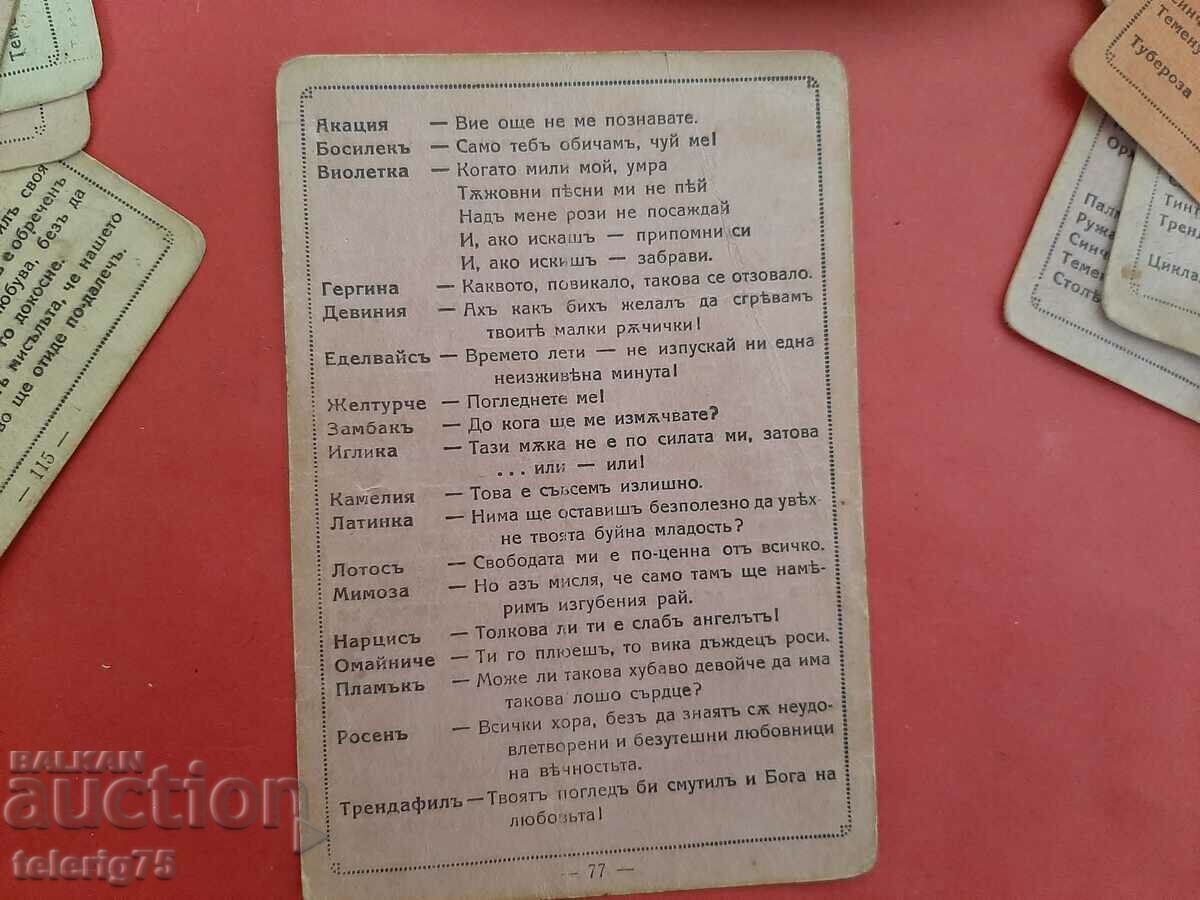 Old Cartoons Conversation/Polylogue of Flowers about Love-1930 - 7 Old Cartoons Conversation/Polylogue of Flowers about Love-1930 - 7