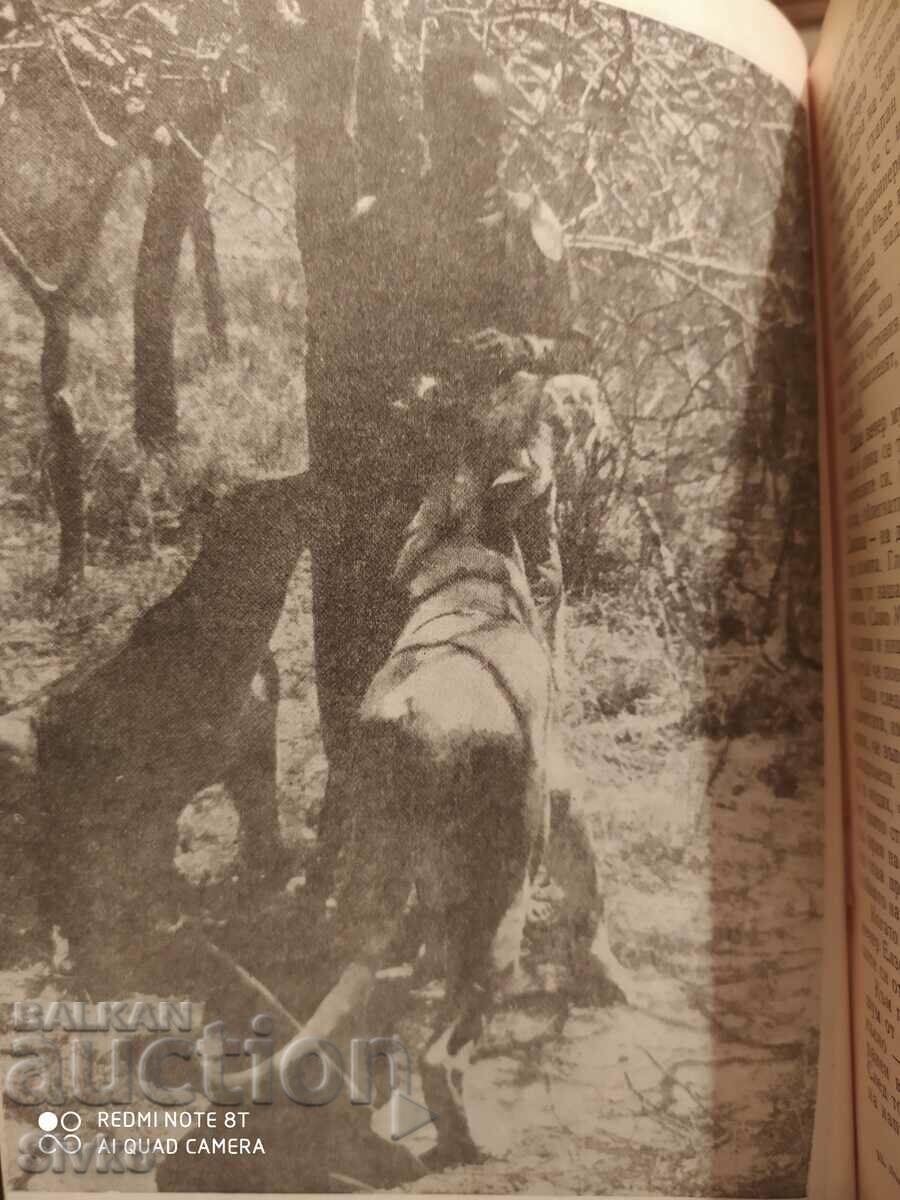 Elsa the Lioness, Joy Adamson, many photos with price € 0.01 | 0.02 BGN Elsa the Lioness, Joy Adamson, many photos with price € 0.01 | 0.02 BGN