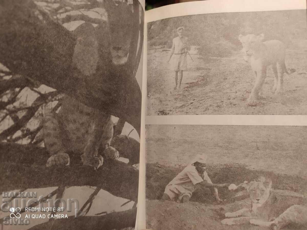 Elsa the Lioness, Joy Adamson, many photos - 6 Elsa the Lioness, Joy Adamson, many photos - 6