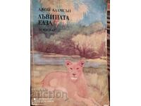 Elsa leoaica, Joy Adamson, multe fotografii