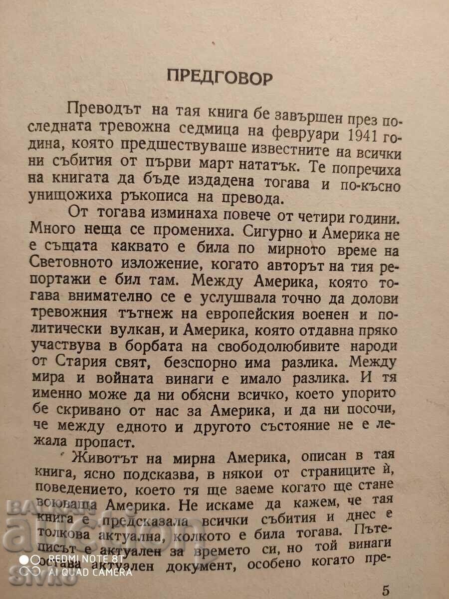 Auction Peaceful America, Reports on America and Americans, Boy Auction Peaceful America, Reports on America and Americans, Boy