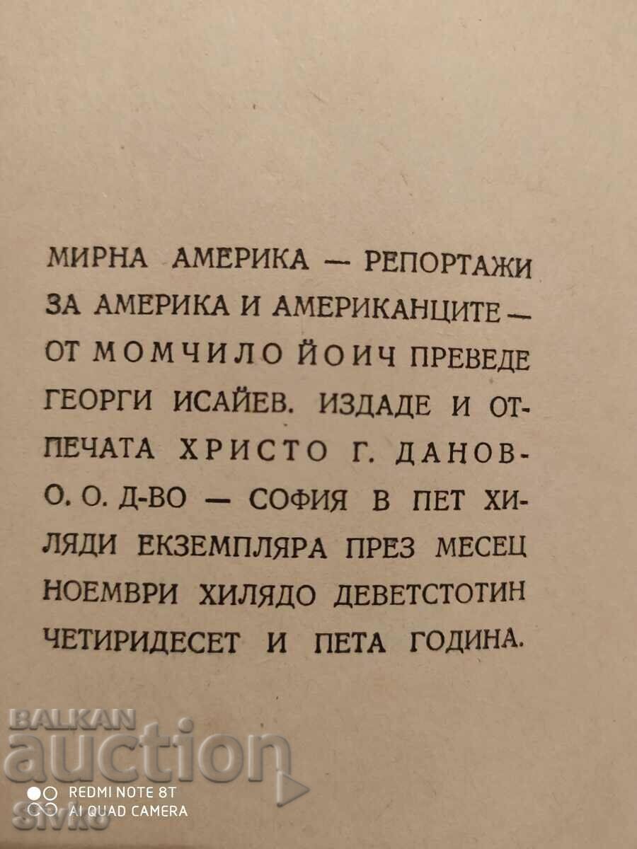 Peaceful America, Reports on America and Americans, Boy - 5 Peaceful America, Reports on America and Americans, Boy - 5