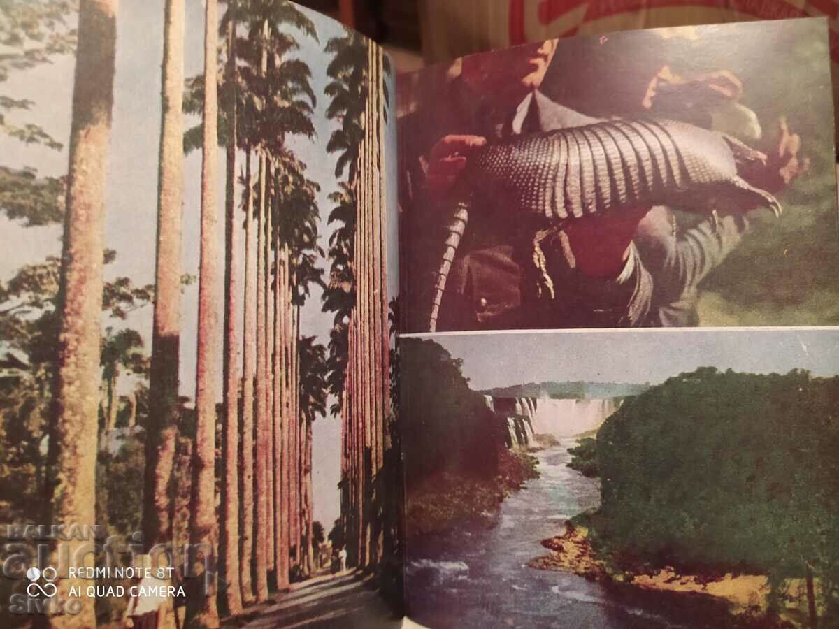 Σε όλη τη Νότια Αμερική, πολλές φωτογραφίες - 5 Σε όλη τη Νότια Αμερική, πολλές φωτογραφίες - 5