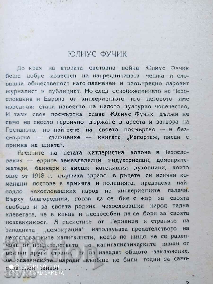 Έκθεση γραμμένη με θηλιά στο λαιμό, Julius Fuchik, μετάφραση Γκεόργκι - 5